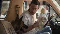 Задник до фильму"Дог" #888990