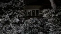 Задник до фильму"Берлінський синдром" #772597