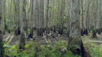 Задник до фильму"" #870515