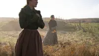 Задник до фильму"" #424349