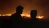 Задник до фильму"Дні жнив" #211789