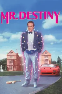 Постер до фильму"Містер Доля" #1035756