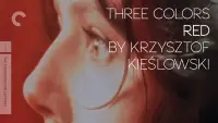 Задник до фильму"Три кольори: Червоний" #959065