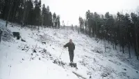 Задник до фильму"" #785750
