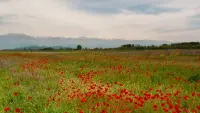 Задник до фильму"" #790581