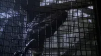 Задник до фильму"Парк Юрського періоду 3" #740390