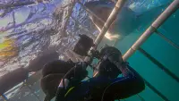 Задник до фильму"" #803271