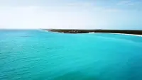 Задник до фильму"" #733342