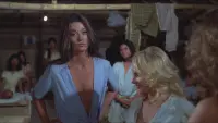 Задник до фильму"" #448584