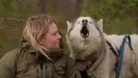 Задник до фильму"" #810025