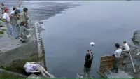 Задник до фильму"" #721235