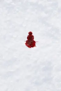 Постер до фильму"Сніговик" #1038089