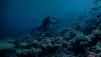 Задник до фильму"" #751060