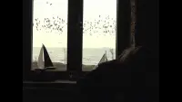 Задник до фильму"" #701599
