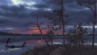Задник до фильму"" #780556