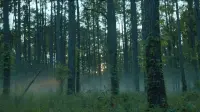 Задник до фильму"Ребел-Ридж" #741808