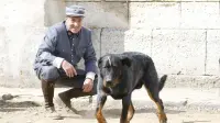 Задник до фильму"" #727481