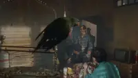 Задник до фильму"" #777646