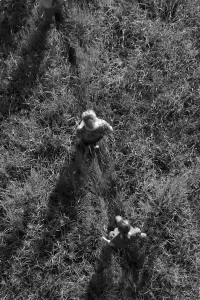 Постер до фильму"" #550106