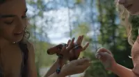 Задник до фильму"Голодні ігри: Балада про співочих пташок і змій" #677792