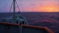 Задник до фильму"" #705044