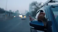 Задник до фильму"" #804669