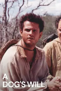 Постер до фильму"Ауто про співчуття" #974034