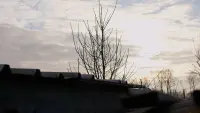 Задник до фильму"" #805390