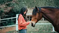 Задник до фильму"" #778529