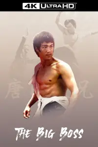 Постер до фильму"Великий бос" #968448