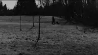 Задник до фильму"" #776898