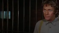 Задник до фильму"" #718611