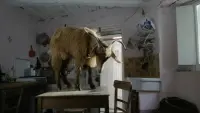 Задник до фильму"" #863547