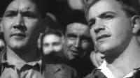 Задник до фильму"Большая жизнь" #860464
