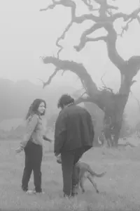 Постер до фильму"" #568365