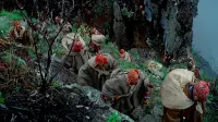 Задник до фильму"Агірре, гнів Божий" #781477