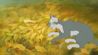 Задник до фильму"" #859667