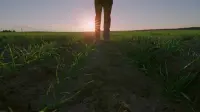 Задник до фильму"Пісня за піснею" #508340
