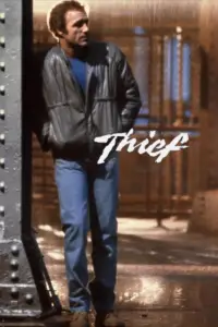 Постер до фильму"Злодій" #958376