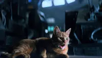 Задник до фильму"Чужий" #723962