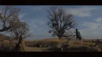 Задник до фильму"" #871926