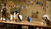 Задник до фильму"Готель для собак" #1174188