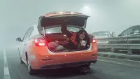 Задник до фильму"" #522461