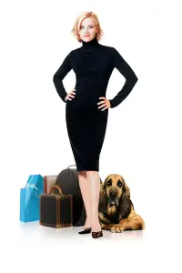 Постер до фильму"Стильна штучка" #1138095