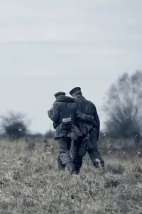 Постер до фильму"На Західному фронті без змін" #803110