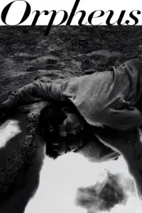 Постер до фильму"Орфей" #1041607
