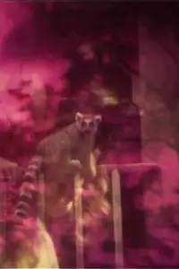 Постер до фильму"" #1104531