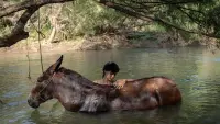 Задник до фильму"" #796705