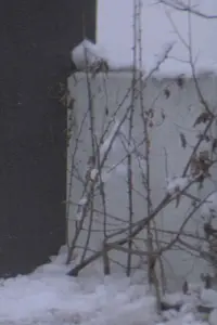 Постер до фильму"" #729575