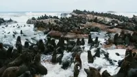 Задник до фильму"" #740787
